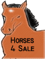 Horses 4 Sale