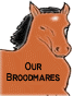 Our Broodmares