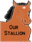 Our Stallion